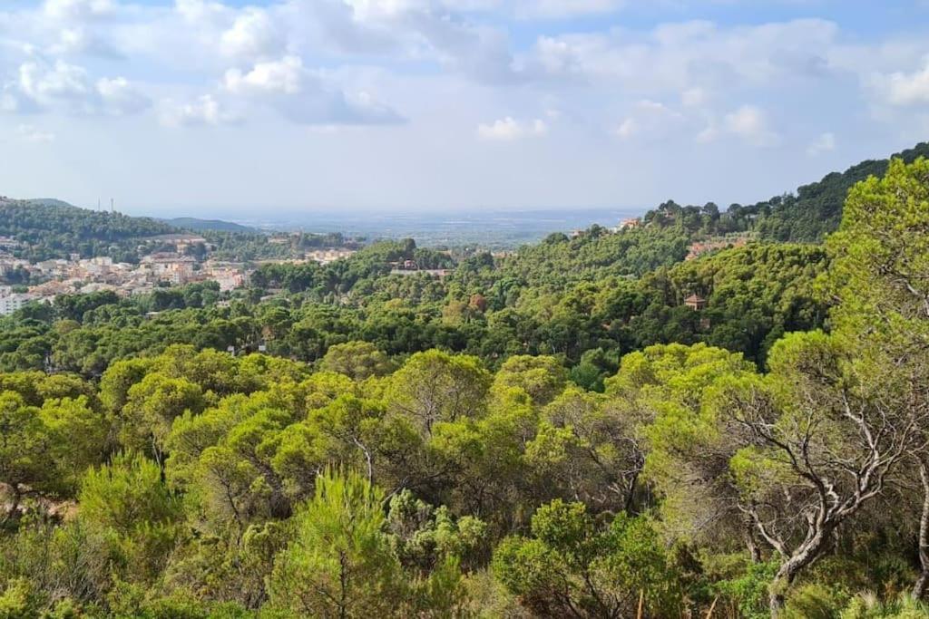 Acogedor Chalet Familiar En La Sierra Calderona Náquera エクステリア 写真